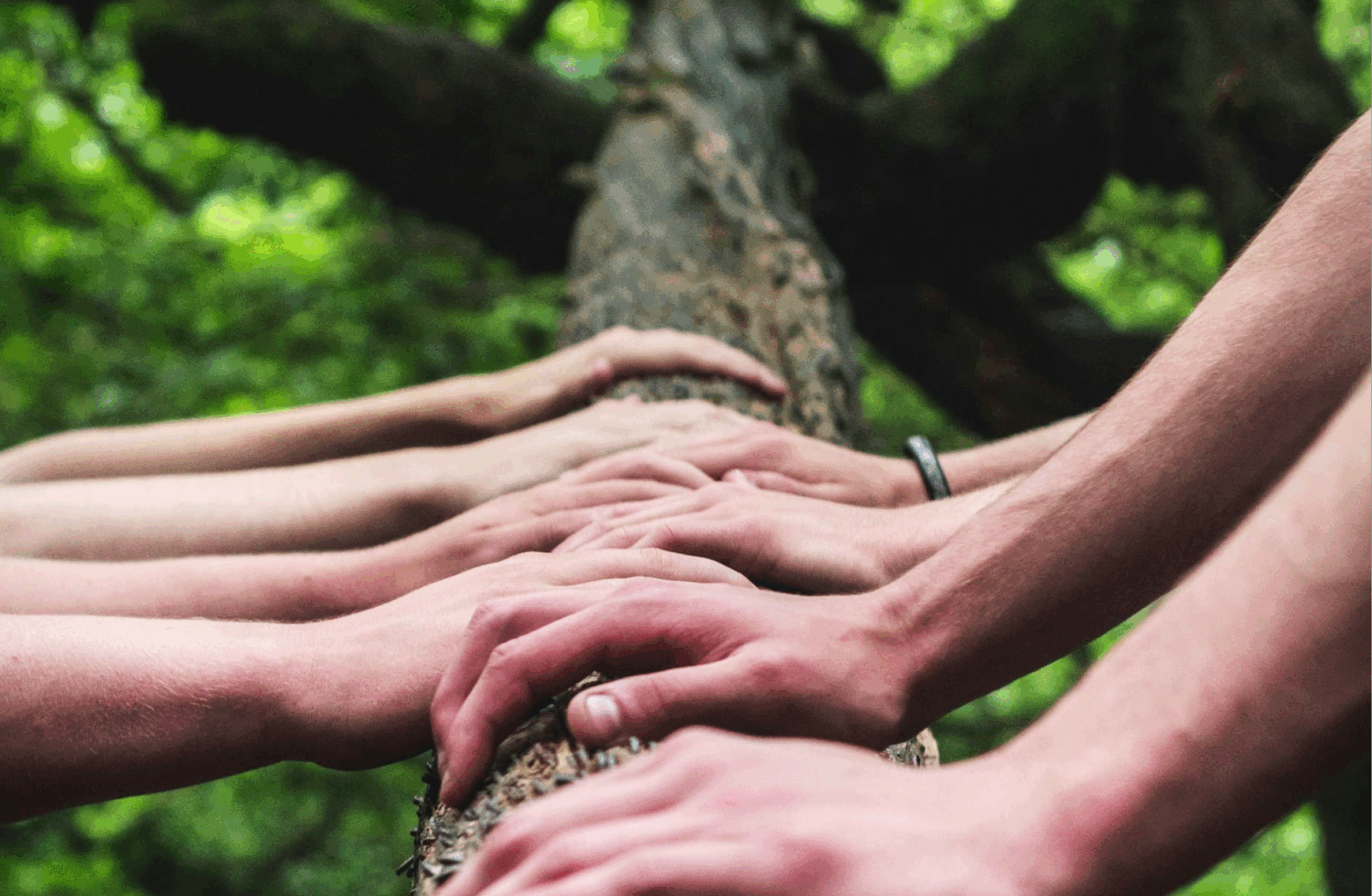 cover image of report with hands in a row on a log